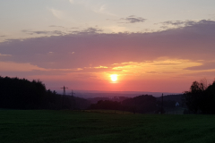 3-Aster_Lahrberg