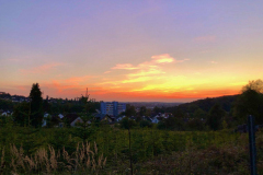 8-Ferber