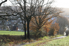 Lahrfeld20006