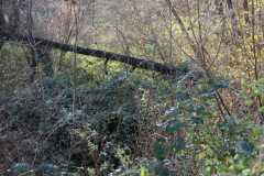 Lahrfeld20007